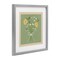 Stupell Industries Bordered Spring Bouquet Framed Print Under Glass, design by Adrienne Morris